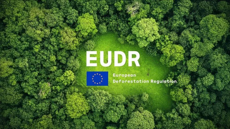 Nuevos ajustes en el Reglamento de Deforestación